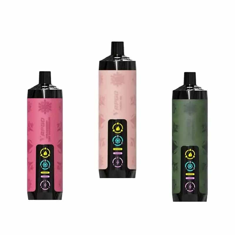 VAPGO Chill Shisha 30K Ice Control Disposable Vape (0.6% 30,000 Puffs)